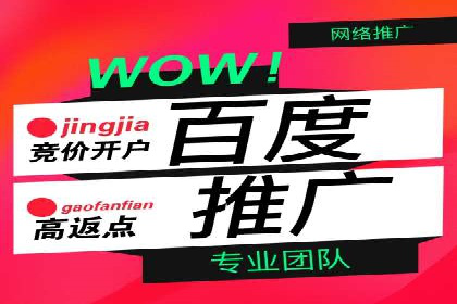 SEO与SEM优化案例：助力企业网站流量增长